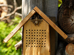 Bee nesting box