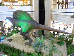DSCN2700 - Spinosaurus aegyptiacus, Theropoda