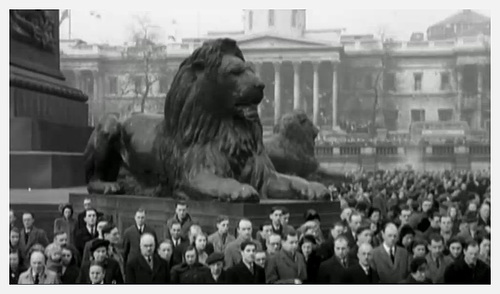 Trafalgar Square lions