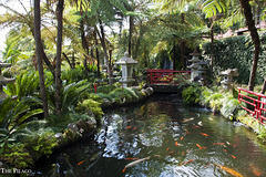 2011 Madeira, Monte Palace, Tropical Garden