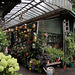 Installé depuis 1808 , le marché aux fleurs de l'Île de la Cité à Paris