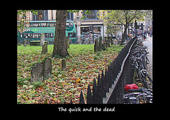 The quick and the dead - Oxford - 18.11.2014