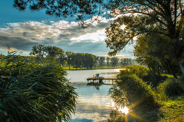 Hoste - L'étang du Tiergarten