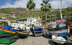 Madeira, Im Hafen von Camara de Lobos. ©UdoSm