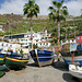 Madeira, Im Hafen von Camara de Lobos. ©UdoSm