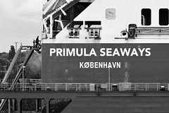 Primula Seaways