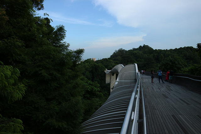 Henderson Waves Bridge, Southern Ridges