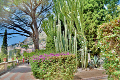 Public Garden in   Taormina
