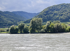 Die Donau in der Wachau