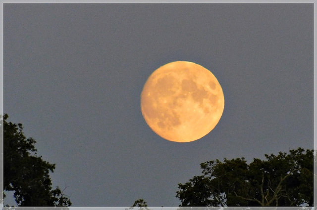 La lune du 12 Septembre 2019: Ce soir la lune est belle........