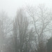 Nebel