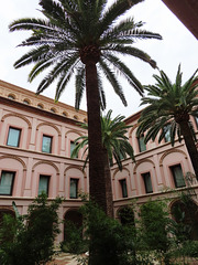 Valencia: Museo San Pío V, 3