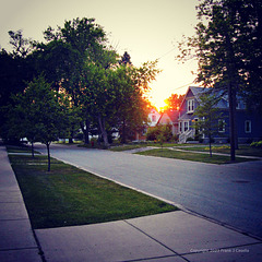 Neighborhood Summer Sunset