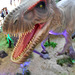 DSCN2703 - Tyrannosaurus rex, Theropoda