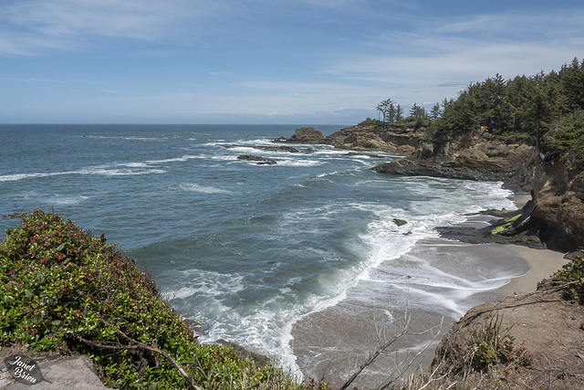 Pictures for Pam, Day 193: Beach on Our Coos Bay Hike