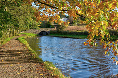 Down on the canal at Diggle