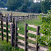 A late Fence for Friday