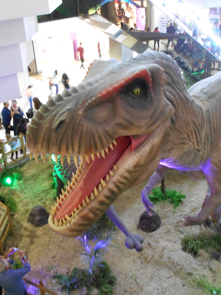 DSCN2704 - Tyrannosaurus rex, Theropoda