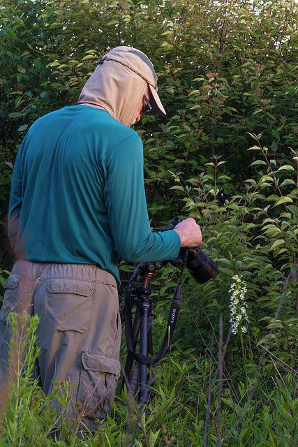 Platanthera leucophaea (Eastern Prairie Fringed orchid) with Walter Ezell