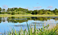 Big Water Nature Reserve,Newcastle
