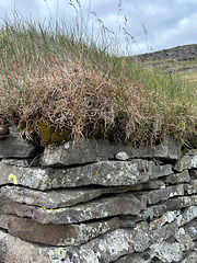 Turf and stone wall.
