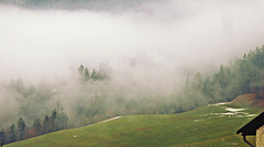 Nebel im Steigental (2 x PiP)