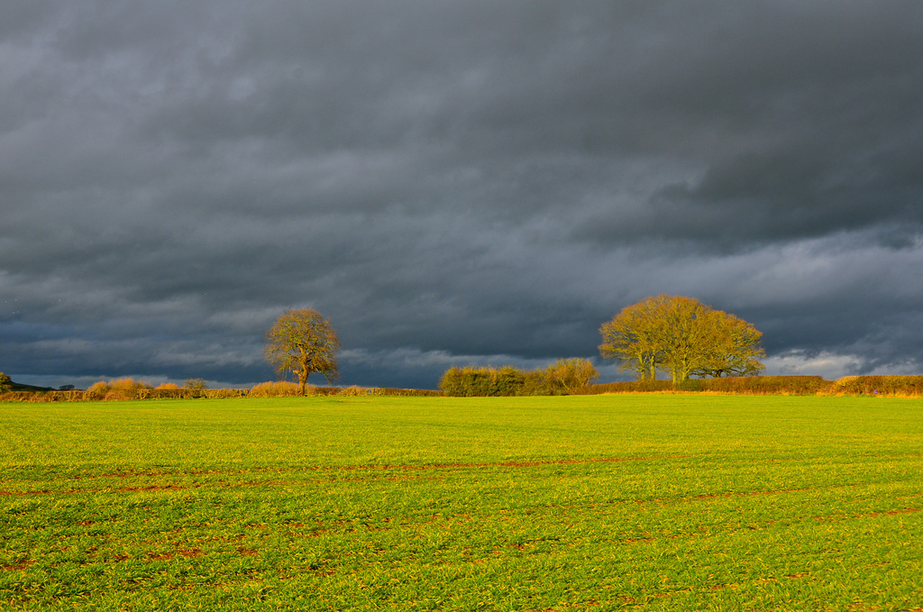 Storm clouds gathering near Gnosall; Christmas Day 2017