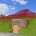 Poppies: Wave..........Fort Nelson, Portsmouth (1)
