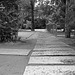 Stone path on the temple ground