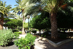 Town Hall Gardens