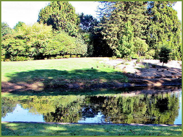 Park Reflecting.