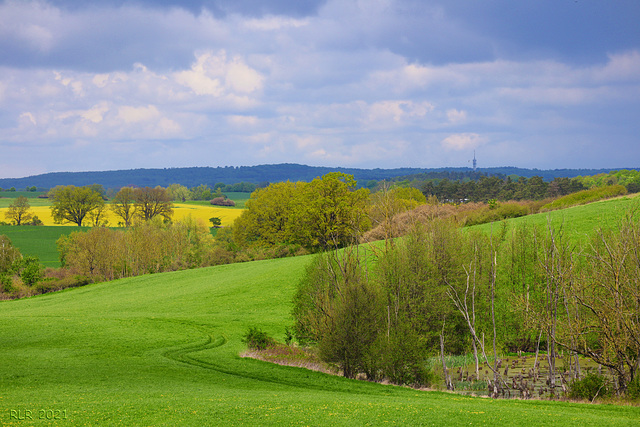 Mecklenburger Landschaft
