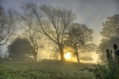 Foggy Sunrise, Cumbria