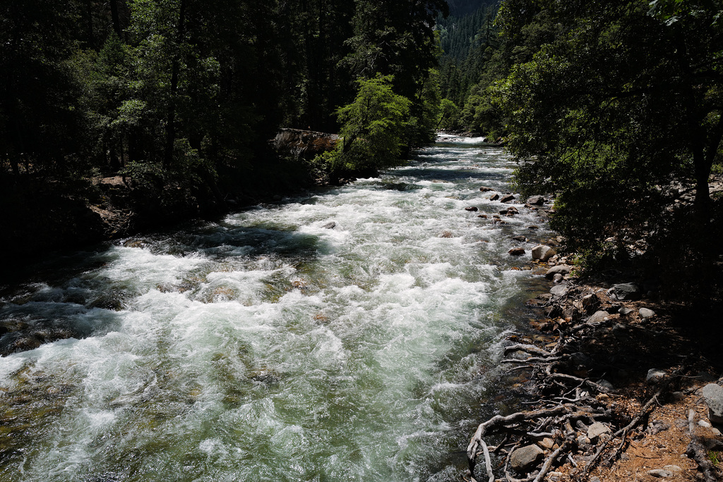 Yosemite Nat Park, Merced river L1020312
