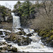 Ingleton waterfalls trail: Thornton Force