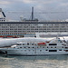 Two Cruise Sizes at Auckland - 20 February 2015
