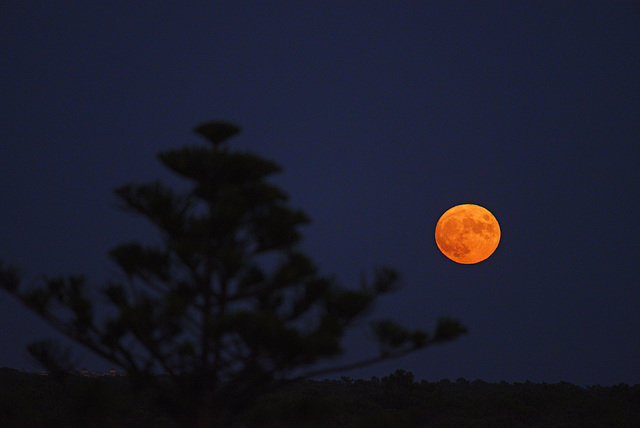 Monte Gordo, Full moon rising