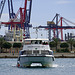 im Hafen von Valencia (© Buelipix)