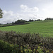 Surrey farmland and fenced footpath for H.F.F