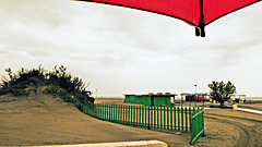 green on the beach under the red umbrella