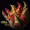 Tulipe perroquet...Passez un bon we mes ami(e)s ❤️