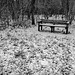 Snowy bench seat in B&W