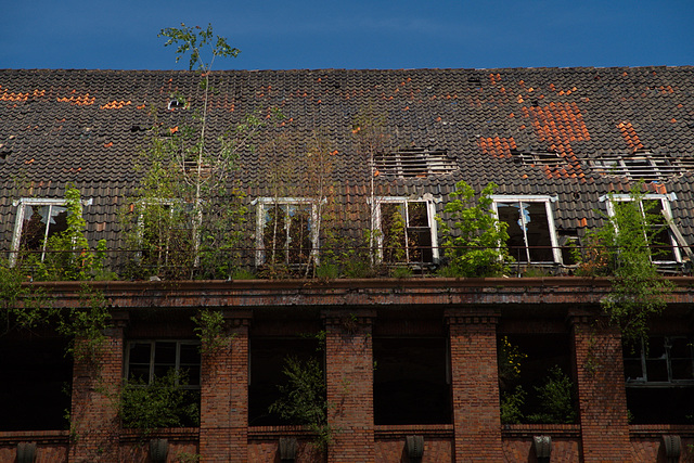 Dach eines alten Industriegebäudes (Conti ?)