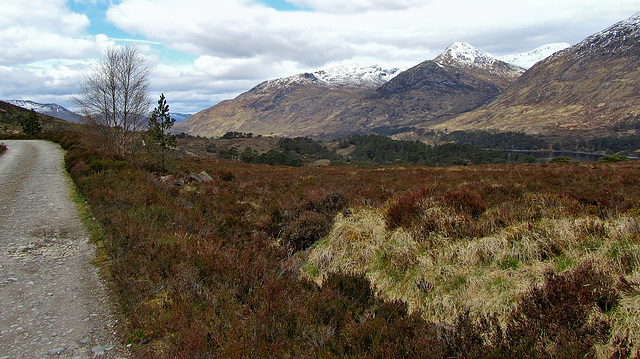 Walking in Glen Affric, Highland, Scotland