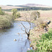 River Dee At Mossdale