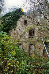 Ruine des Maschinenhauses der ehem. Zeche Hundsnocken (Essen-Heisingen) / 1.12.2019