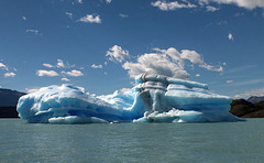 sailing among icebergs