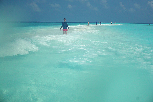 A Sandbar - Almost in the Middle of Nowhere