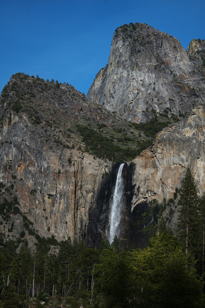 Yosemite Nat Park L1007705