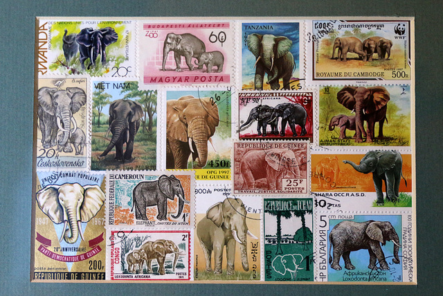 Elephant stamps
